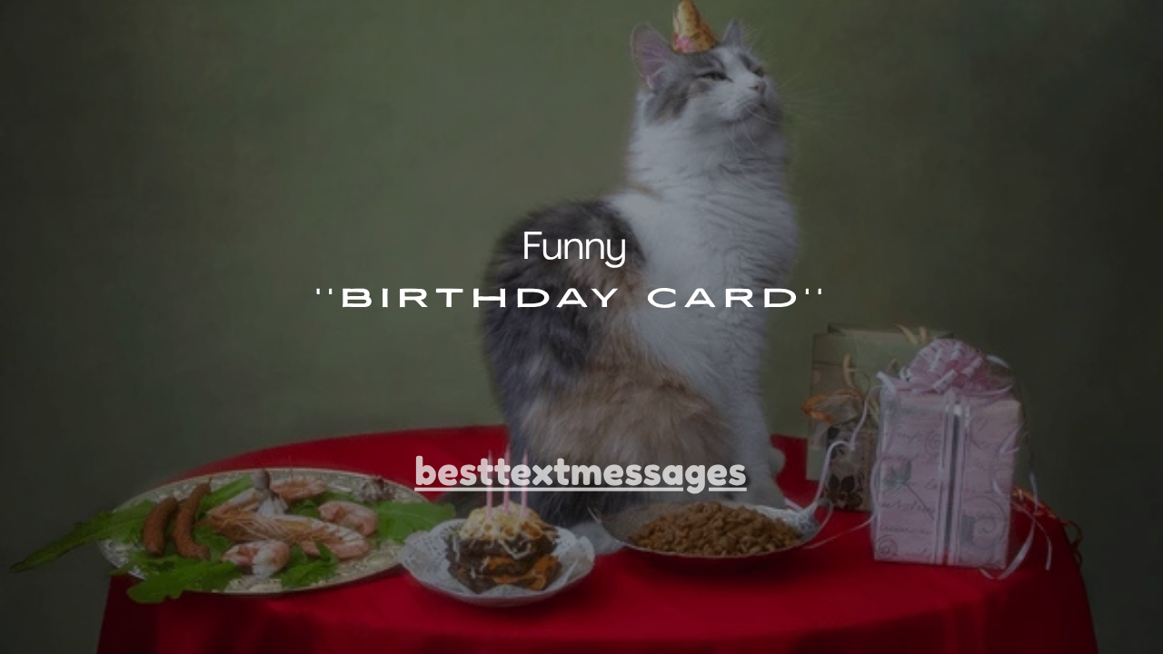 70+Funny Birthday Cards From the Cat