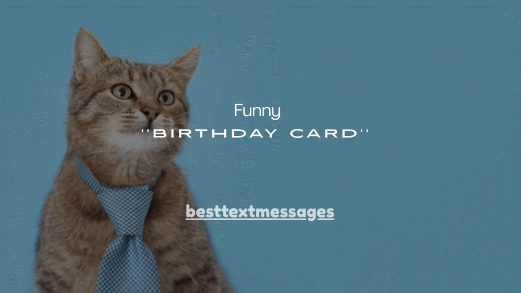 70+Funny Birthday Cards From the Cat
